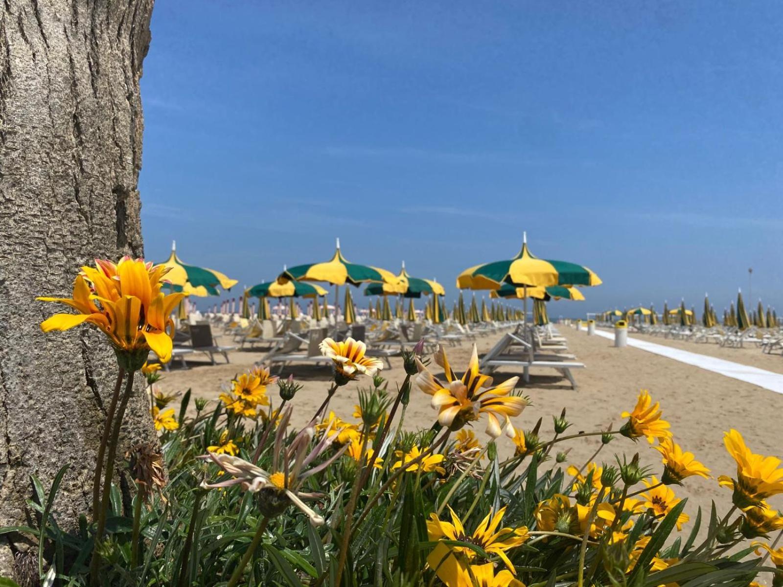 Rimini Bay Suites&Residence المظهر الخارجي الصورة